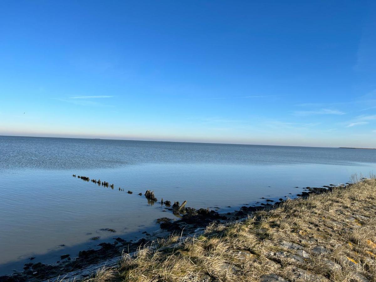 Villa Nieuwland B&B Den Oever Exteriör bild