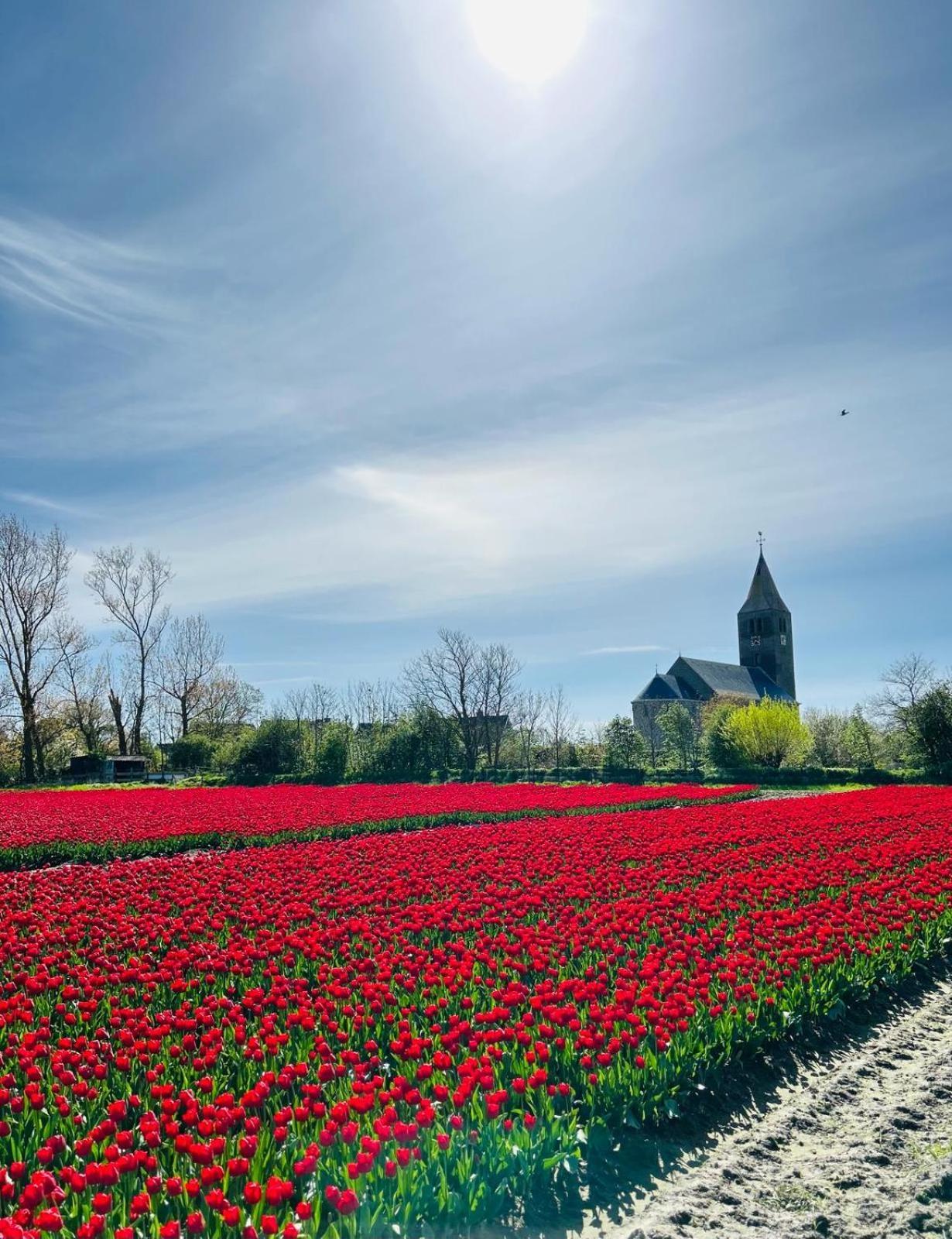 Villa Nieuwland B&B Den Oever Exteriör bild